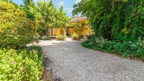 A gravel pathway leading to a yellow building with a tiled roof, surrounded by lush greenery and flowering plants. - Gorgeous home in Pernes les Fontaines (Pernes les Fontaines)