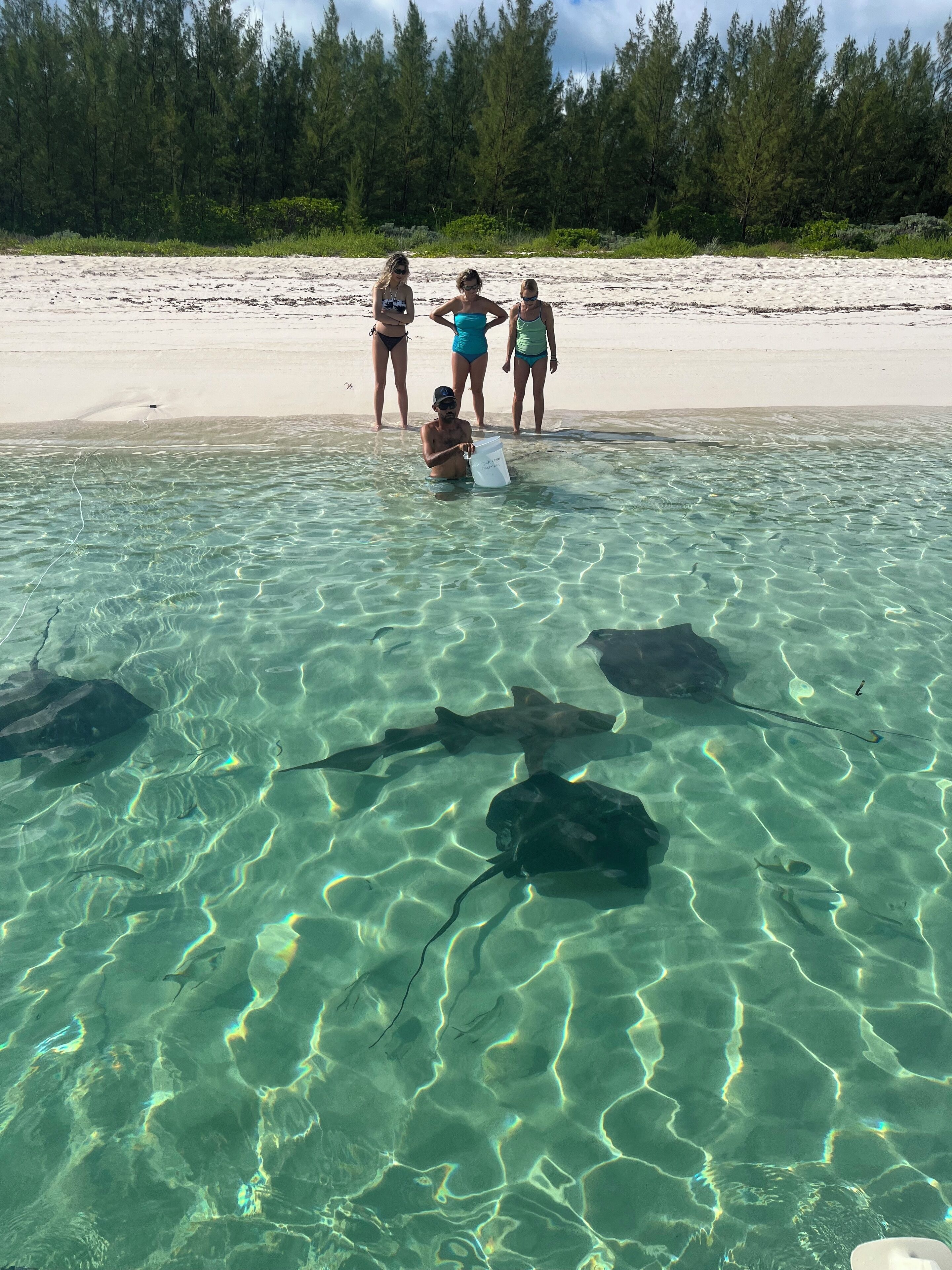 En la playa y toallas de playa 