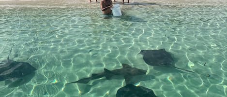 On the beach, beach towels