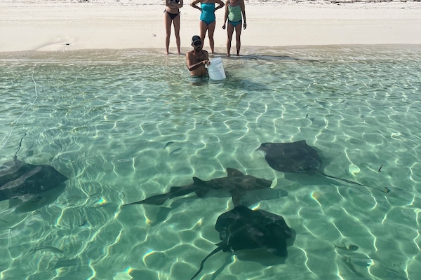 En la playa y toallas de playa