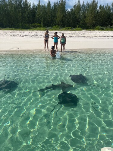 Island Gypsy, a serene beachfront apartment on Cocoa Bay for up to 4 guests.