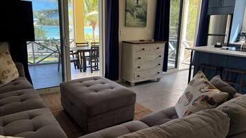 Smart TV, DVD player, books, video library