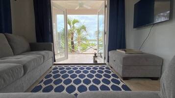 Smart TV, DVD player, books, video library