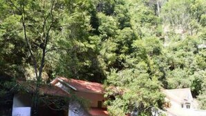 Room - Taoyuan Mountain Village (Huizhou)