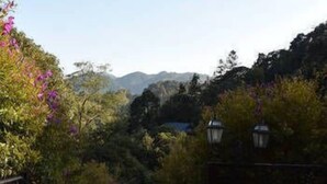 Room - Taoyuan Mountain Village (Huizhou)