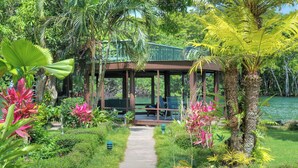 Un espace extérieur aménagé, abrité et doté de sièges, accessible par un chemin, et entouré d’une végétation luxuriante et de palmiers.