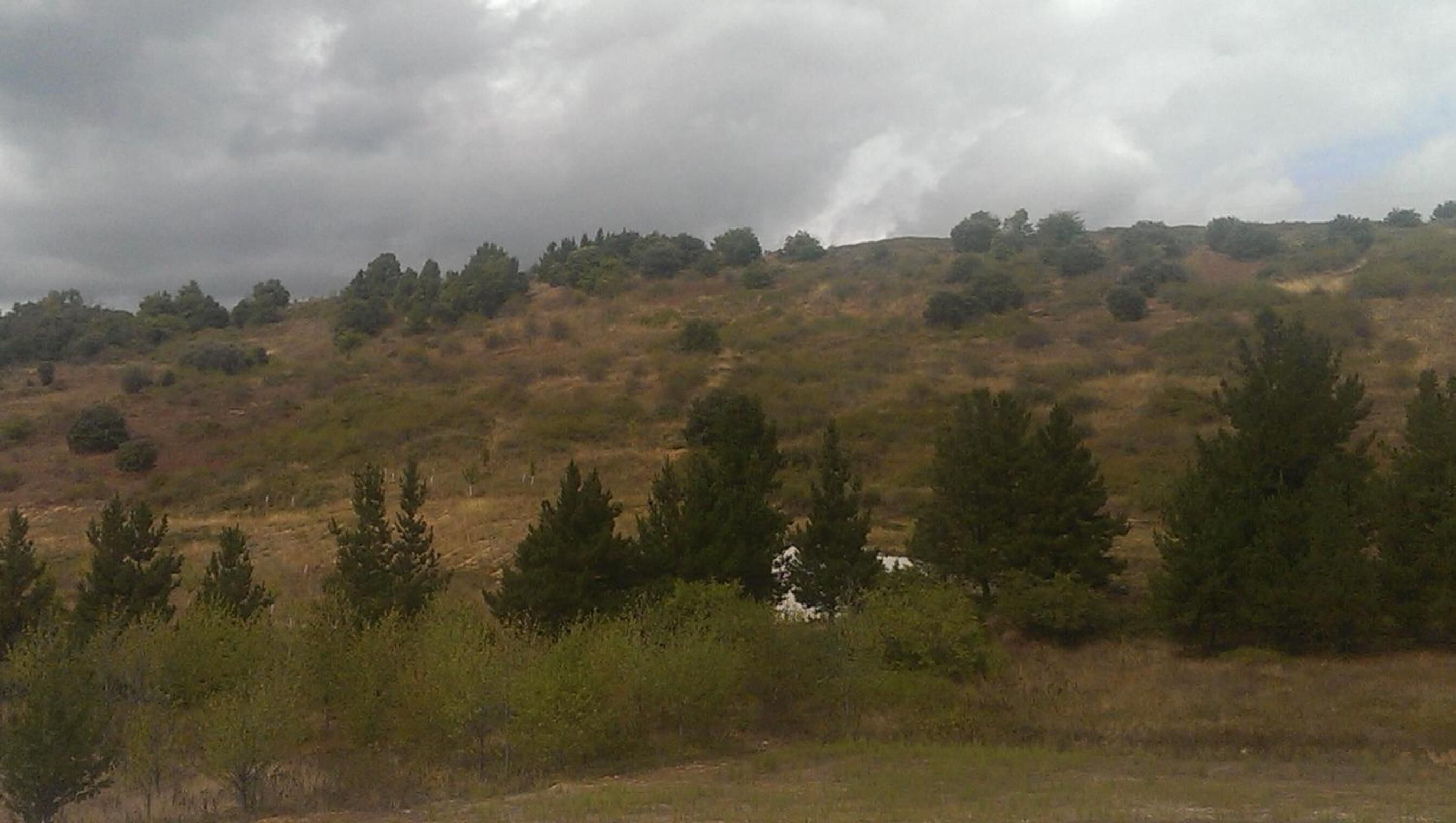 Photo - NRuta Ponferrada