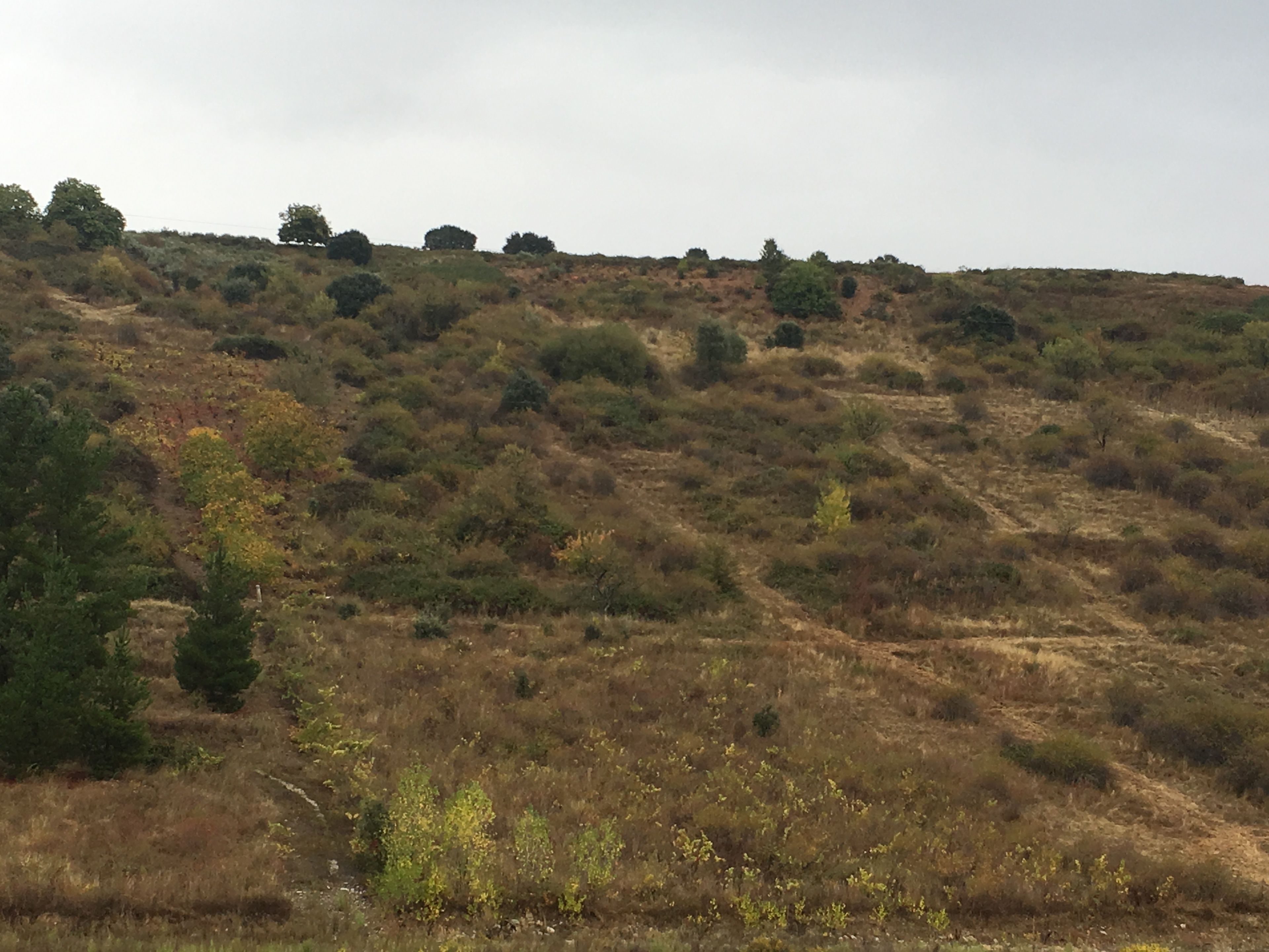 Photo - NRuta Ponferrada