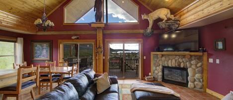 Smart TV, fireplace, DVD player, video library