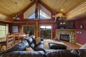 Smart TV, fireplace, DVD player, video library