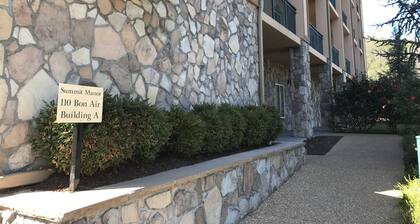Adjacent to the Ober Gatlinburg tram and the Gatlinburg Convention Center