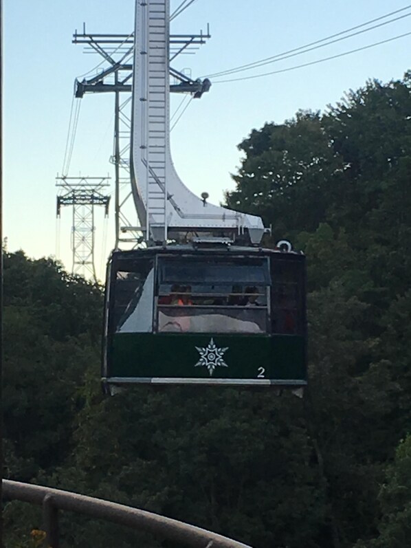 A cable car with a green exterior and a white logo, suspended by cables against a backdrop of power lines and trees.