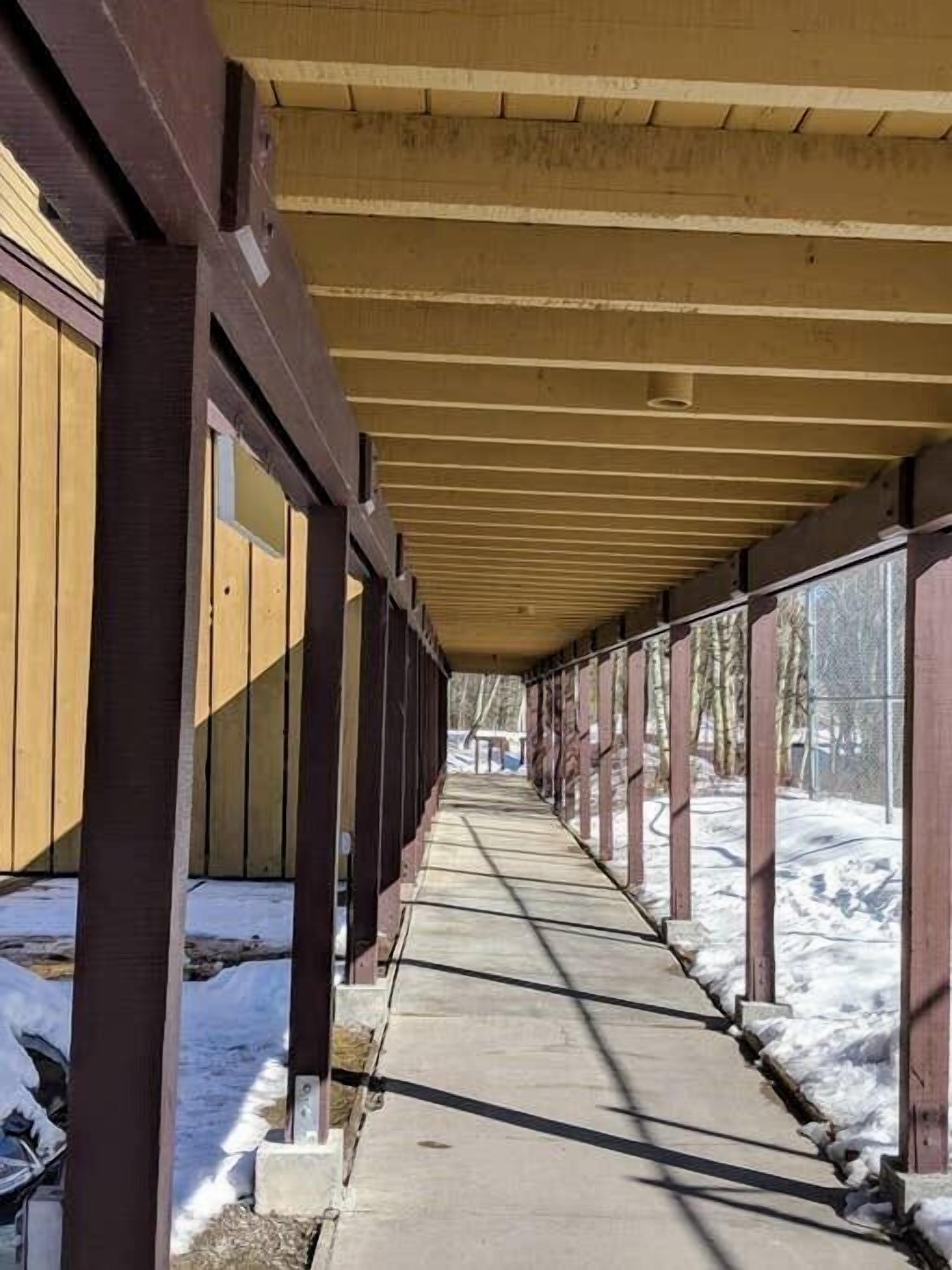 A covered walkway with wooden beams and a concrete path, leading to a building with large windows.