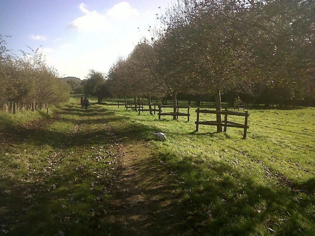 A rural landscape with a dirt path, wooden fences, and trees.