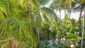 A lush garden with various tropical plants and a white fence in the background. - Captain's Wheel at The Truman Annex in Key West (Key West)