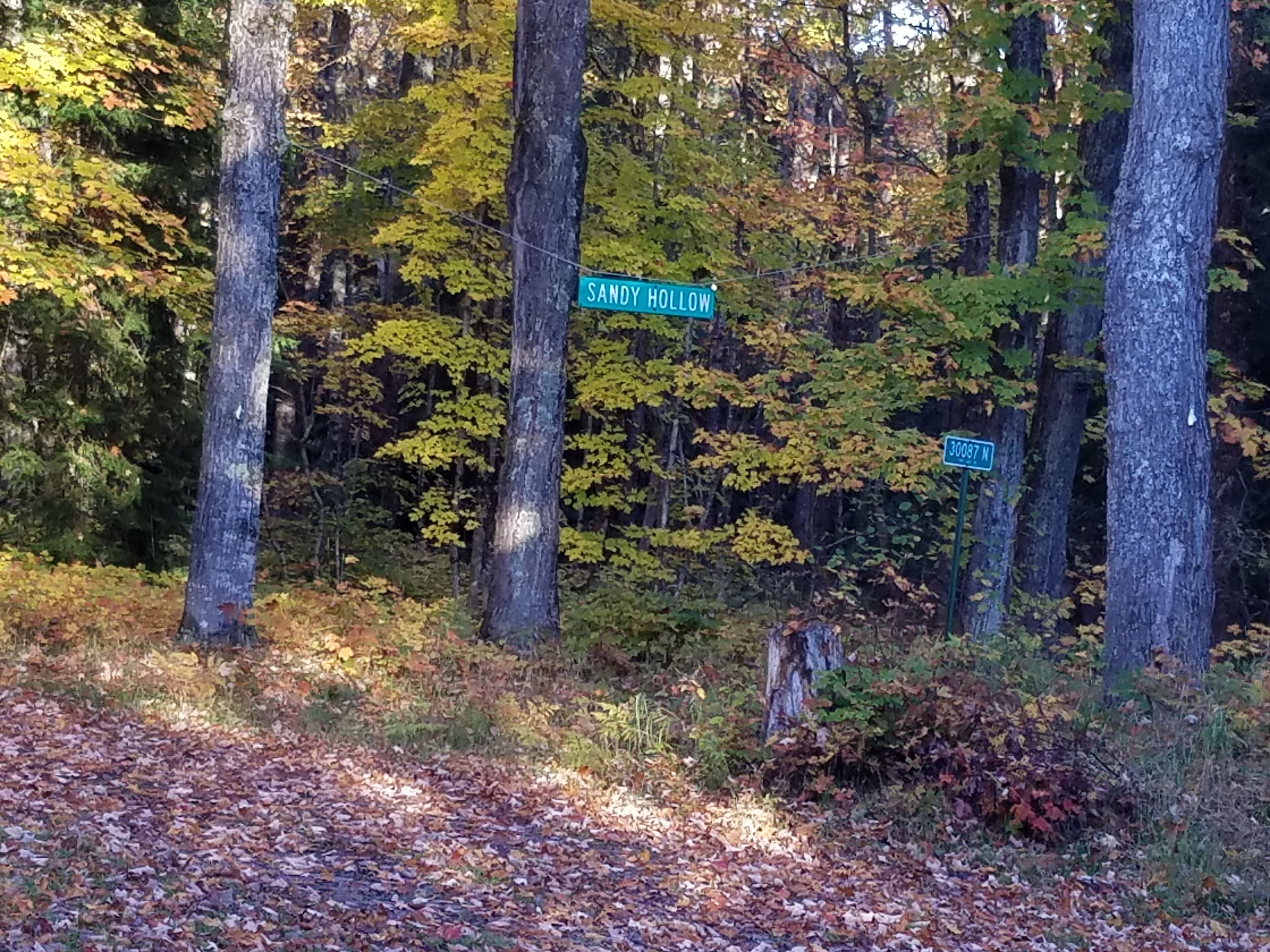 A forested area with a road sign reading "SANDY HOLLOW" and a street sign with "SANDY HOLLOW N" and "SANDY HOLLOW S".