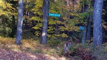 A forested area with a road sign reading "SANDY HOLLOW" and a street sign with "SANDY HOLLOW N" and "SANDY HOLLOW S".