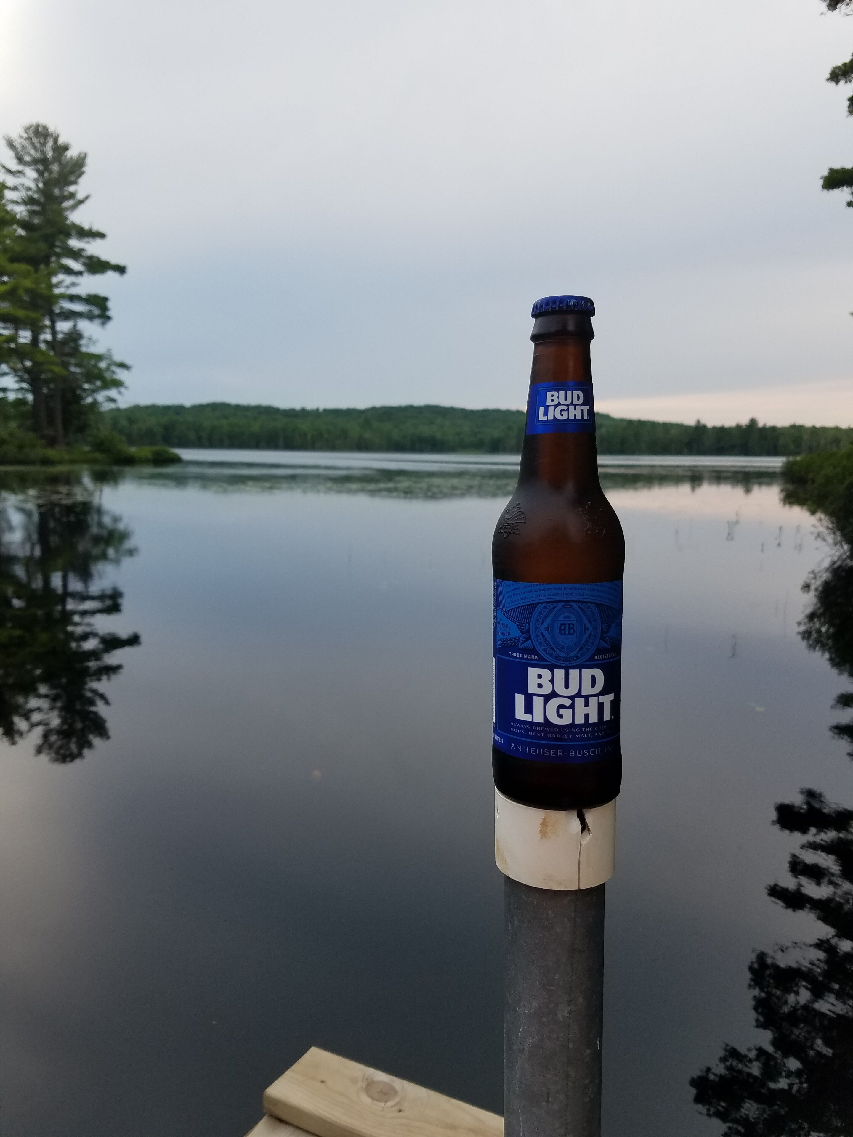 En Bud Light-ølflaske på en moler med en sø og skov i baggrunden.