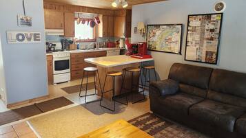 Smart TV, fireplace, DVD player, books