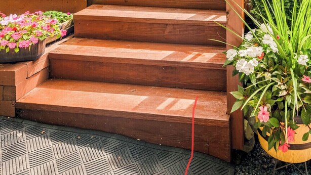 Une terrasse en bois avec des marches menant à une porte vitrée, entourée de verdure et agrémentée d’une table de pique-nique.