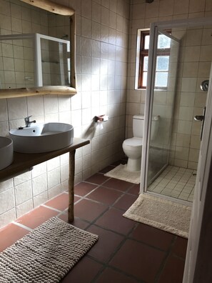 Un baño con lavamanos, espejo, inodoro y ducha.