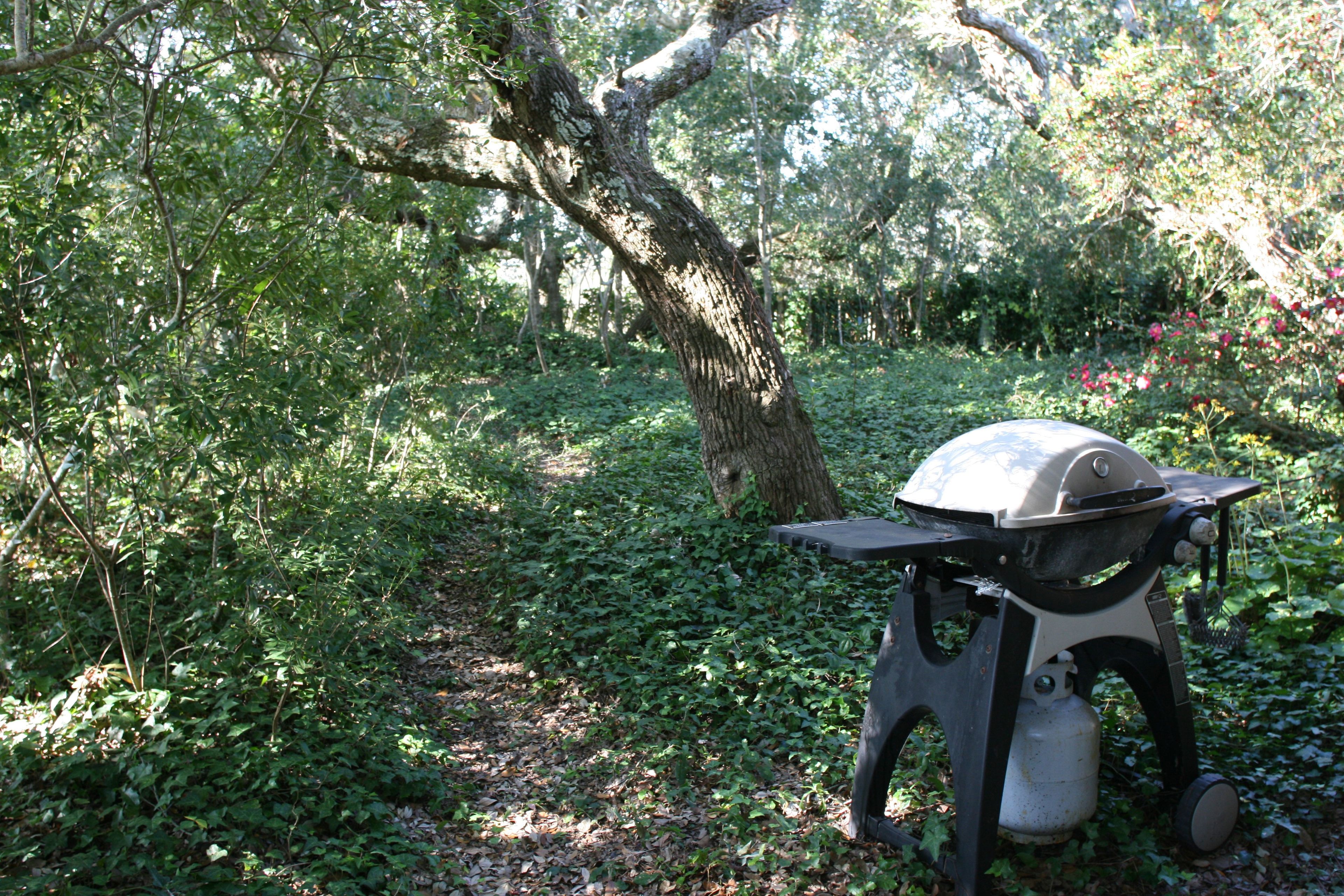 A portable grill set up in a wooded area with a tree and foliage in the background.