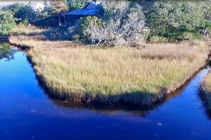 A calm water body surrounded by tall grasses and trees.
