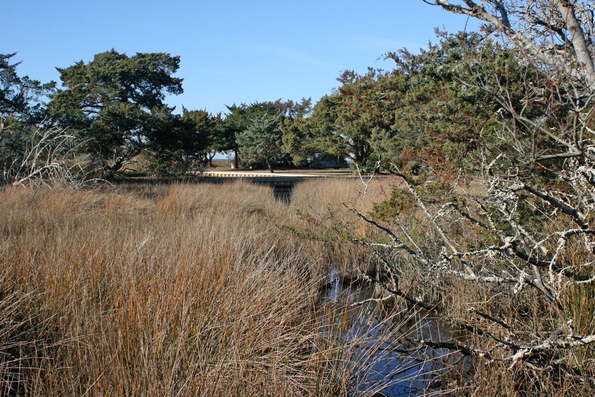 A natural landscape with a body of water, trees, and dry grass.