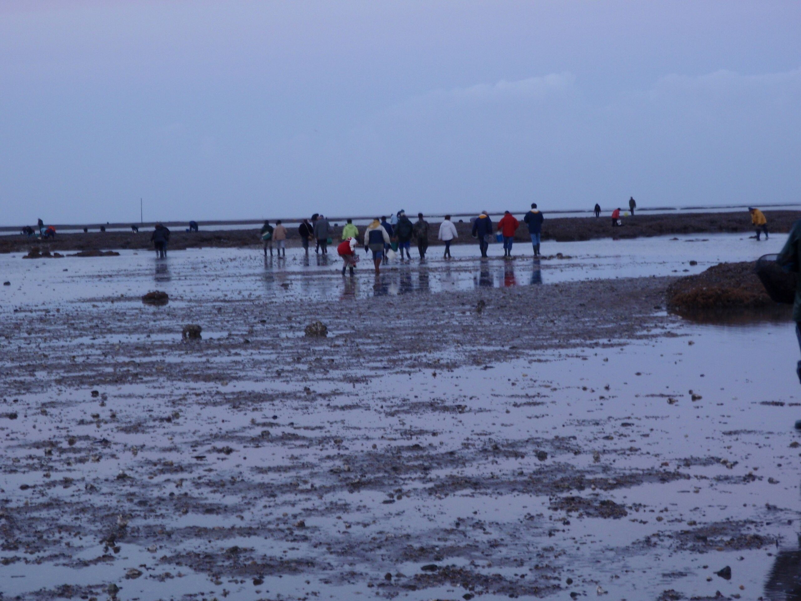A wet beach with people walking and standing.
