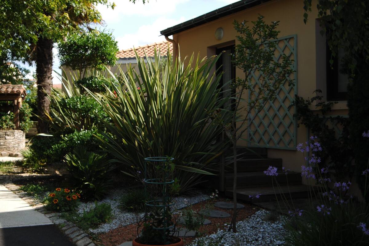 Un jardin où s’épanouissent de nombreuses espèces de plantes, une treille métallique en forme de spirale et un sentier menant à un bâtiment doté d’un toit en tuiles et d’une fenêtre à croisillons.