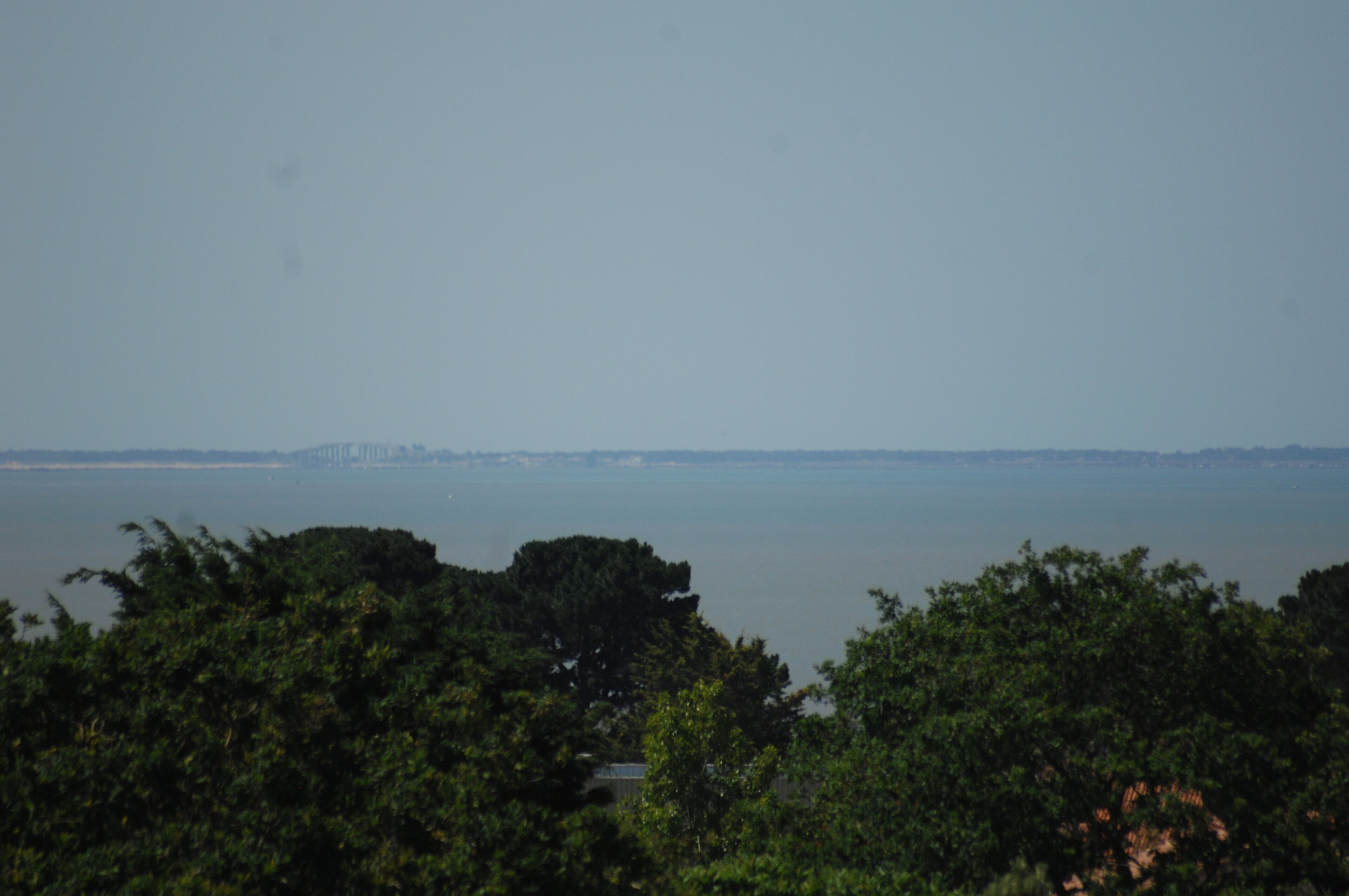 A view of a body of water with a distant shoreline and dense foliage in the foreground.