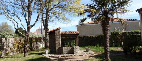 A garden with a stone structure, a palm tree, and a pathway.