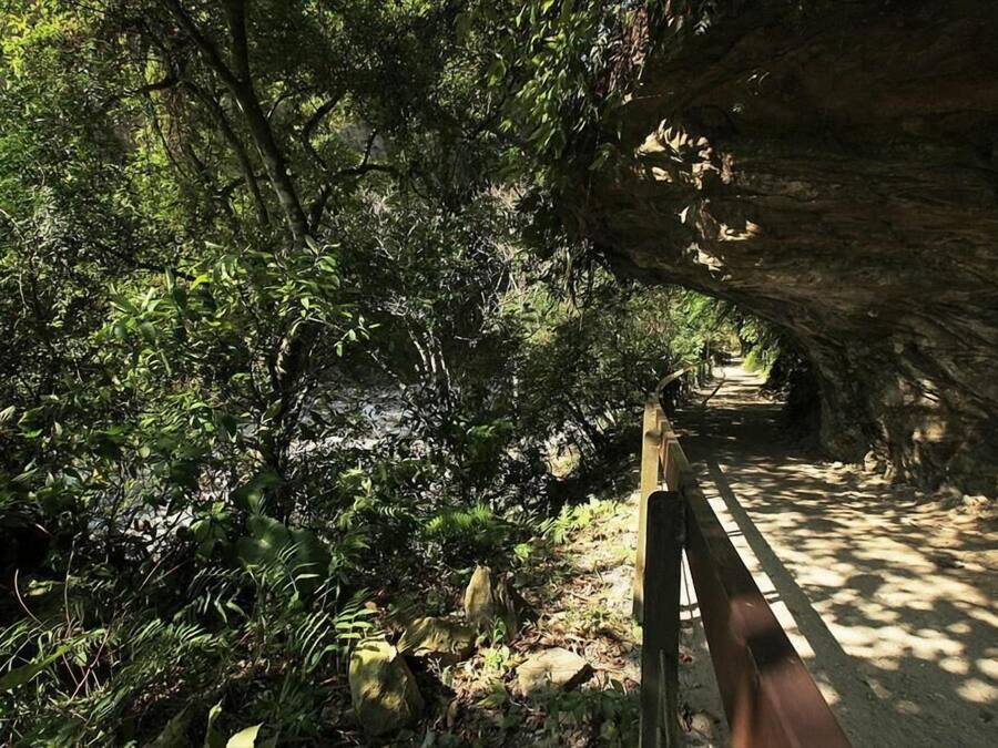 A pathway through a forested area with a wooden railing on one side and a rocky overhang on the other.