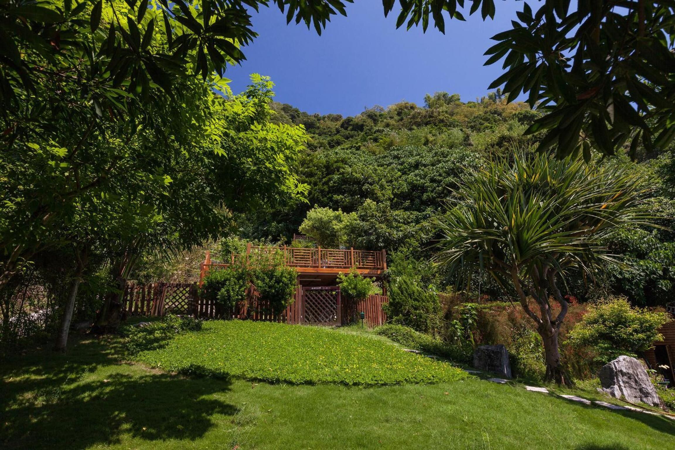 Um jardim exuberante com uma ponte de madeira, um gramado bem cuidado e folhagem densa.