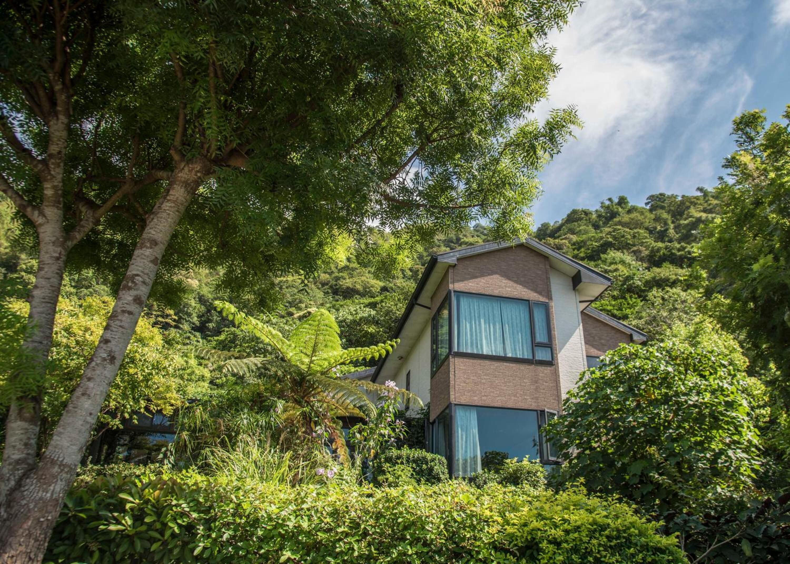 A modern two-story house surrounded by dense greenery and trees.