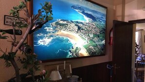 A television mounted on a wall displaying an aerial view of a coastal town with a beach and mountains. - Posada Soano (Arnuero)