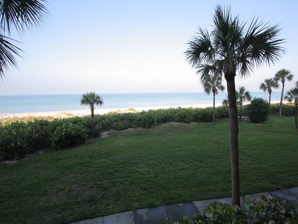 A grassy area with palm trees and a view of the beach.