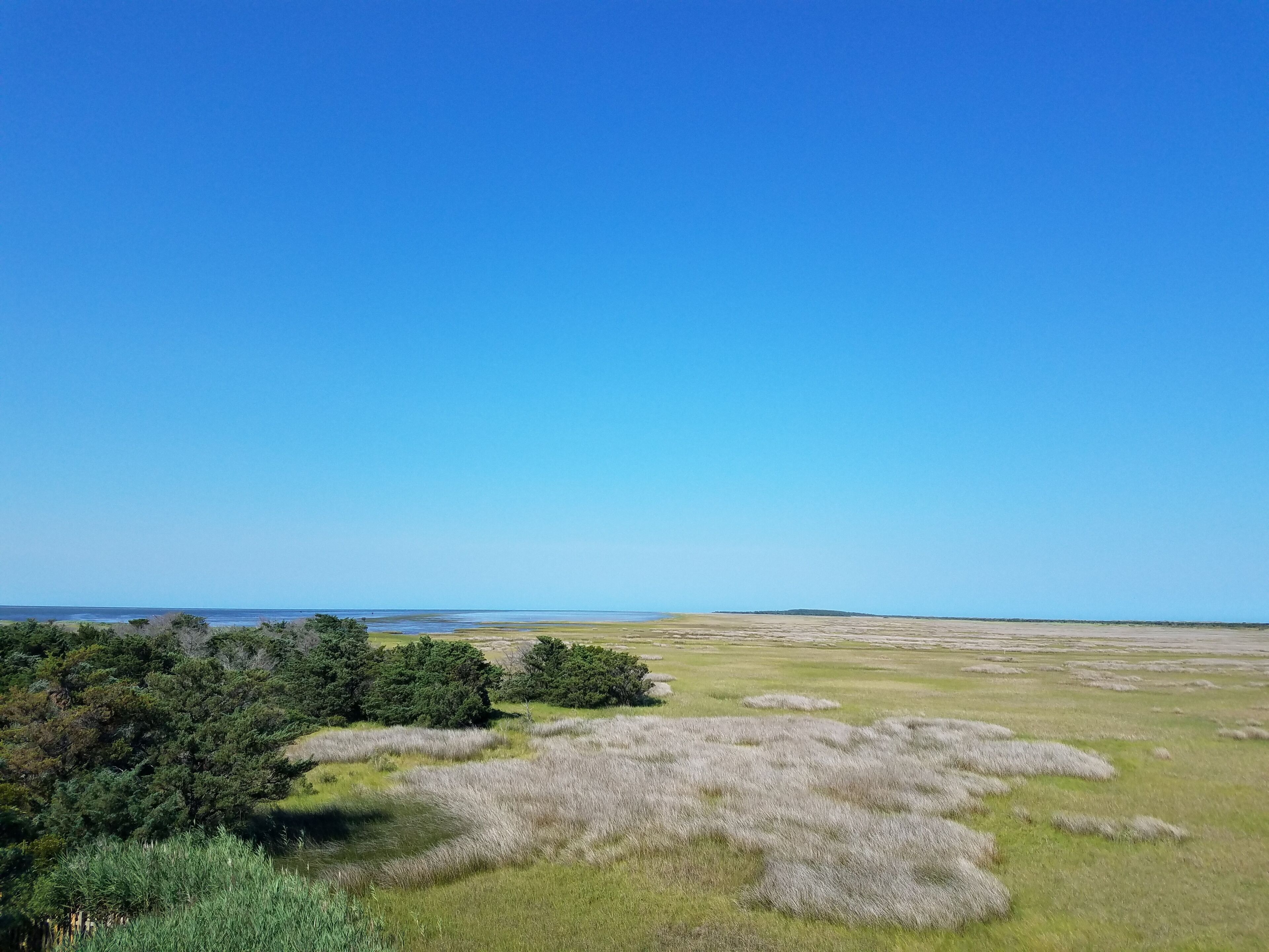 A coastal landscape with a clear sky, grassy fields, and dense trees.