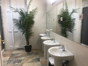 Combined shower/tub, hair dryer