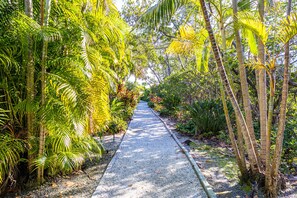Stroll through a lush garden setting surrounded by palm trees and tropical plants.