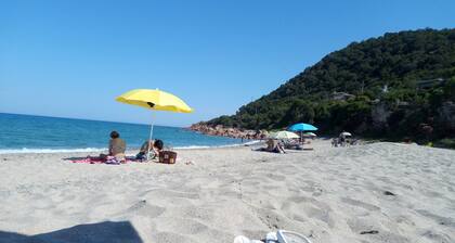 Casa Rolf ... Vacation as friends