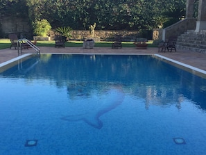Ein rechteckiger Pool mit Steinbord, umgeben von einer Steinmauer und Grünpflanzen.