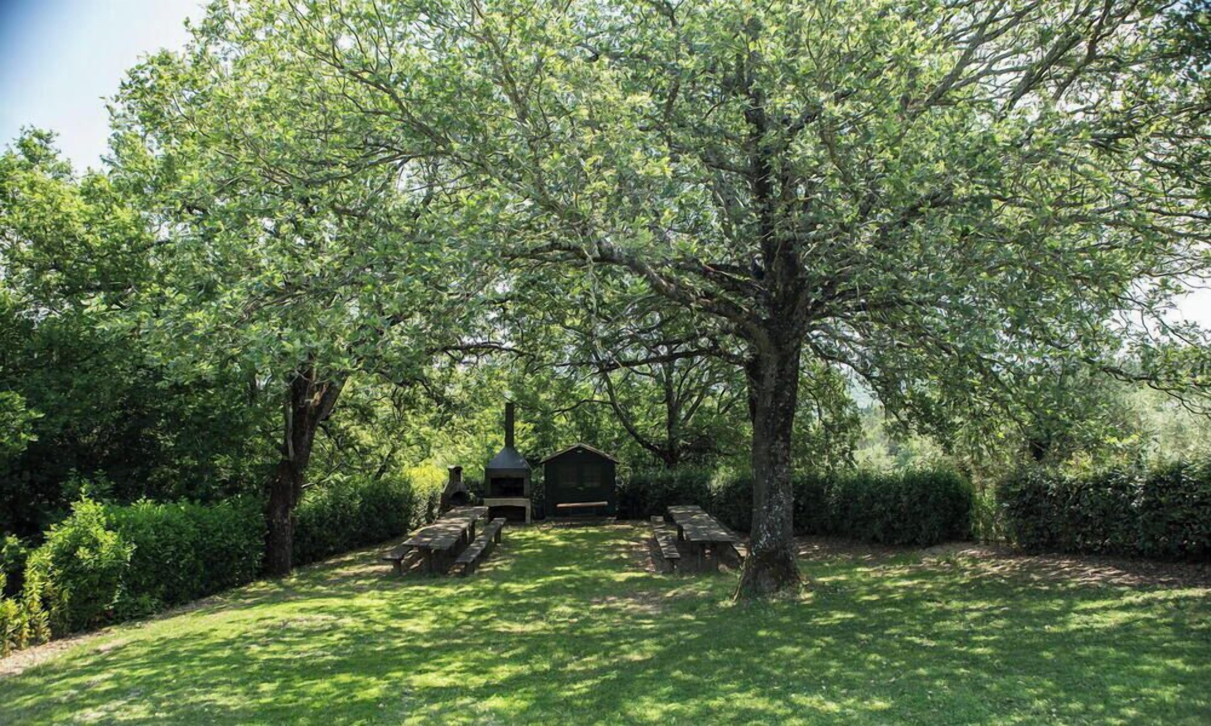 A picnic area with benches and a barbecue grill surrounded by trees.