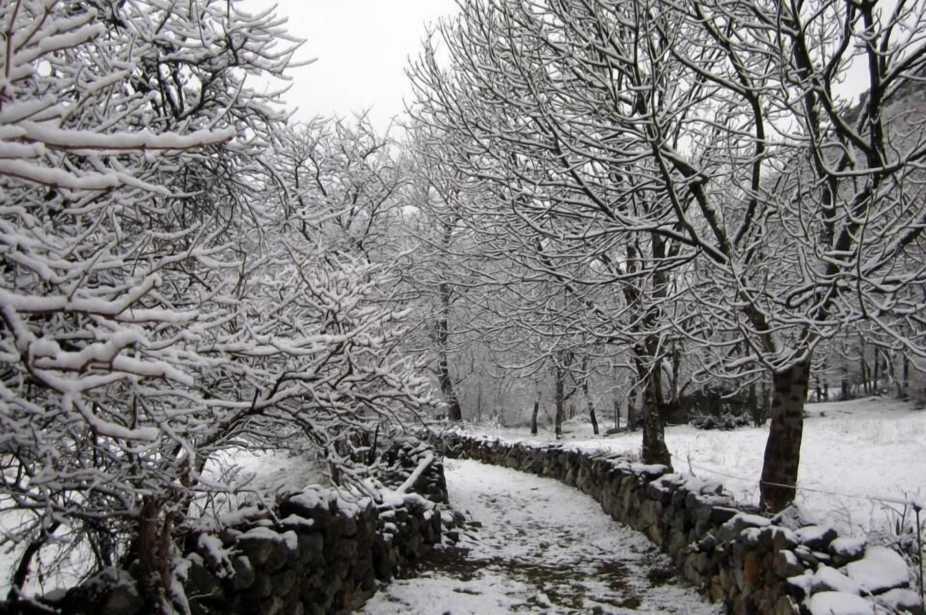 Photo - Hotel La Creu by RdA Hotels