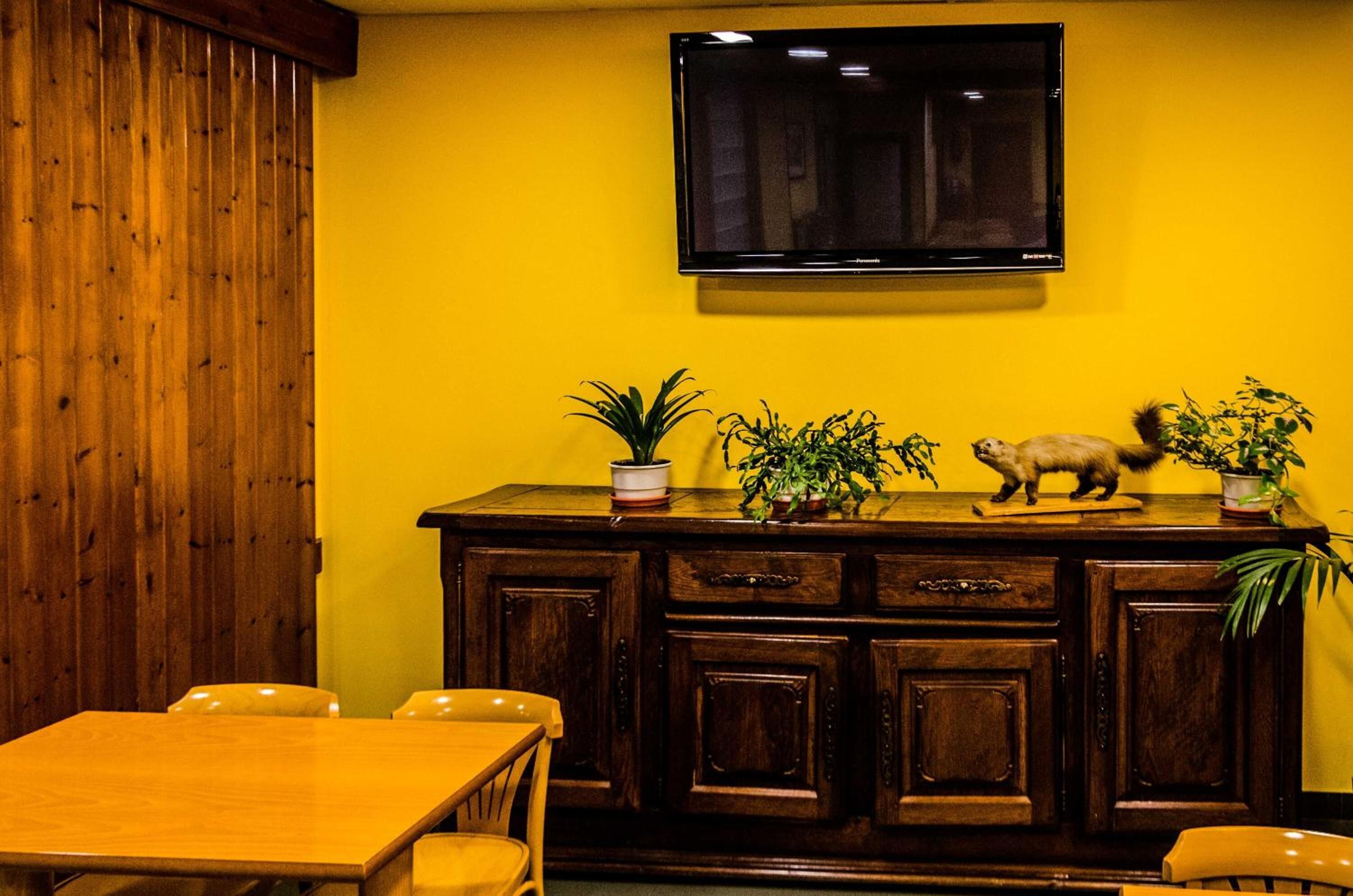 Ein Essbereich mit Holztisch und -stühlen, einem Holzschrank mit Blumentöpfen und einem an einer gelben Wand befestigten Fernseher.