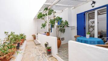 ํจ๋ฐ๋ฆฌ๋ฃธ | ํ
๋ผ์ค/ํํฐ์ค