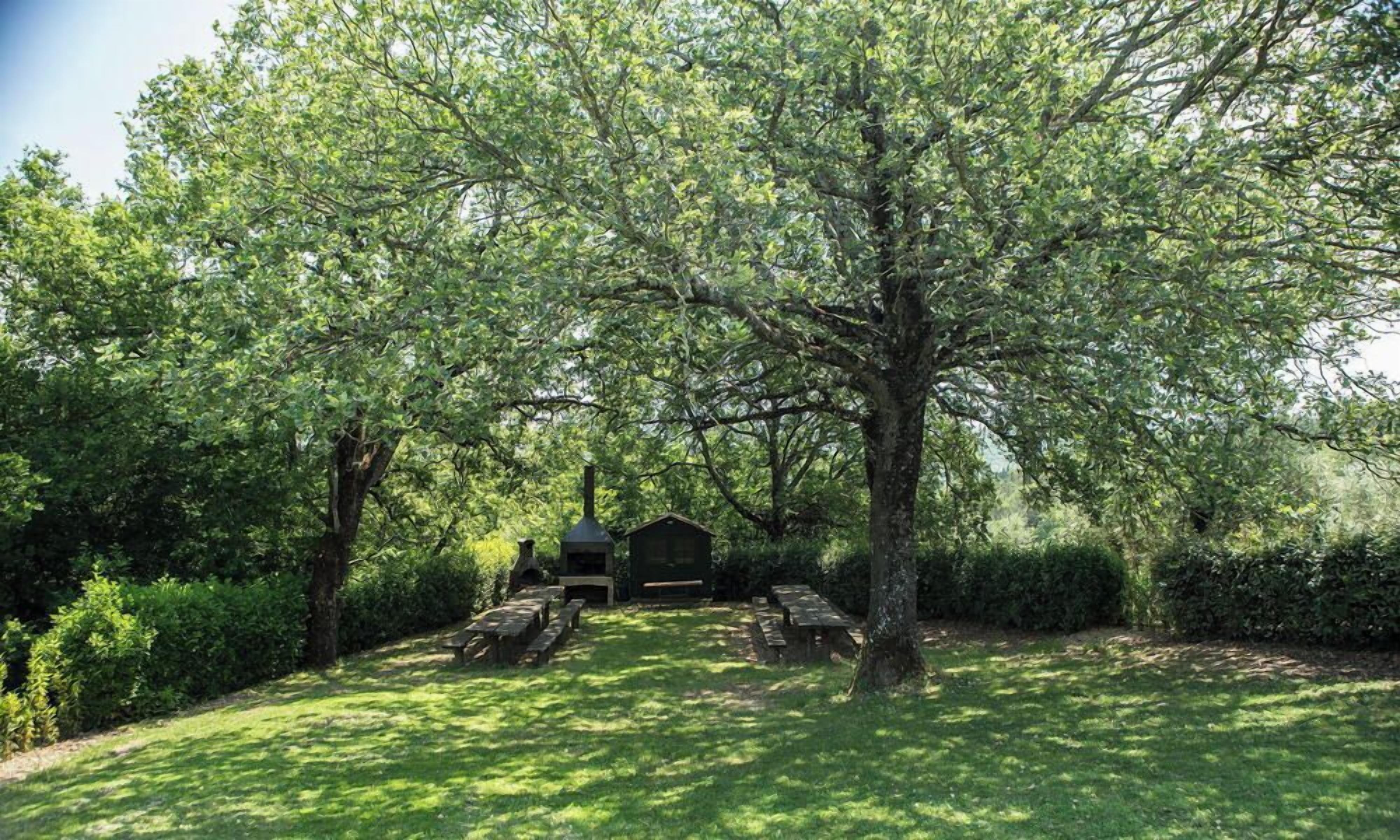 A picnic area with benches and a barbecue grill surrounded by trees.