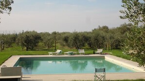 Ein rechteckiger Pool mit einer gefliesten Kante, umgeben von einer Rasenfläche mit mehreren Liegestühlen und einem Klappsessel.