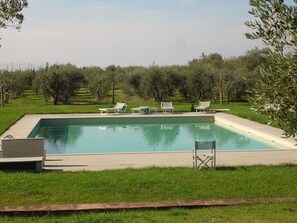 A rectangular swimming pool with a tiled edge, surrounded by a grassy area with several lounge chairs and a folding chair. - Apartment with pool, A/C, WIFI, TV, patio, pets allowed, panoramic view, close to Greve In Chianti (San Donato)