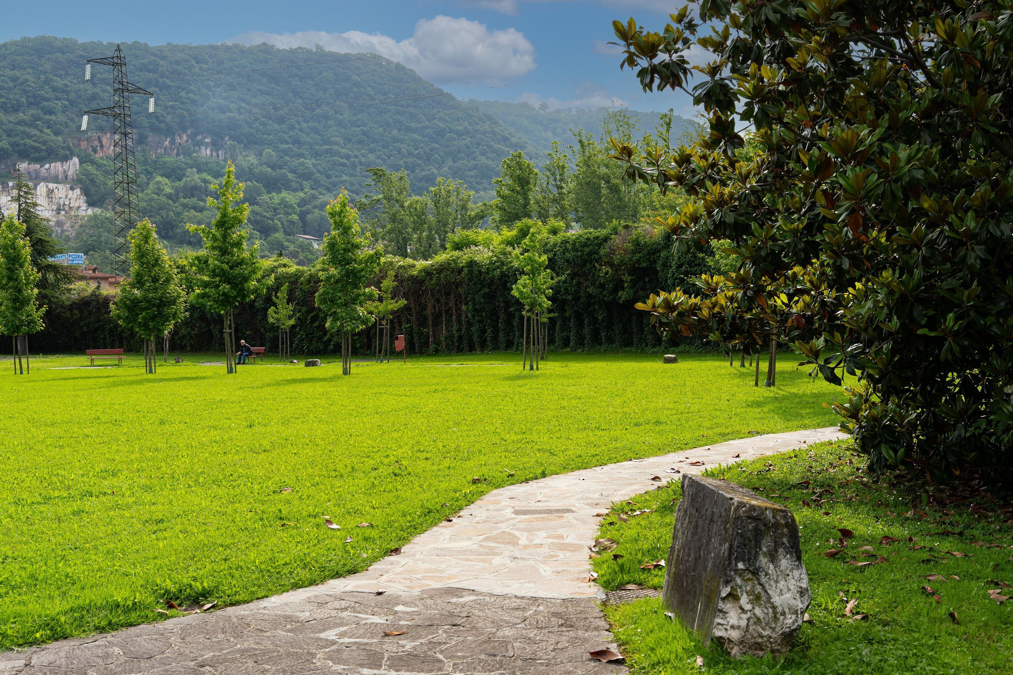 Un parque con un sendero de piedra, césped verde, árboles y una montaña al fondo.